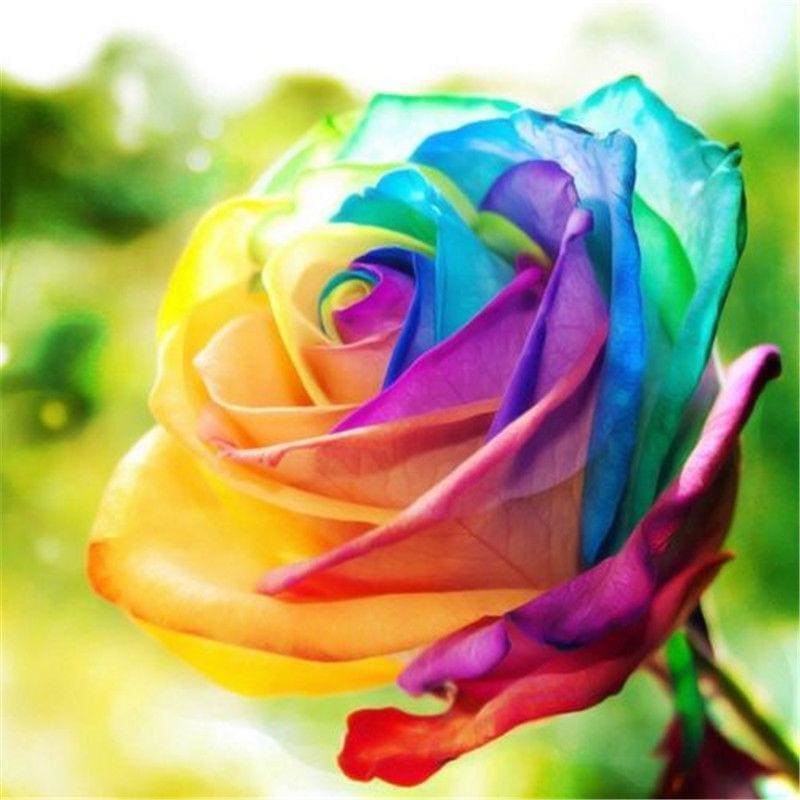 DIY Diamond Painting - Regenboogbloemen PIX-759 - Diamond 