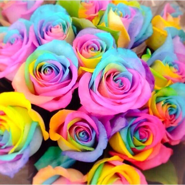 DIY Diamond Painting - Regenboogbloemen PIX-760 - Diamond 