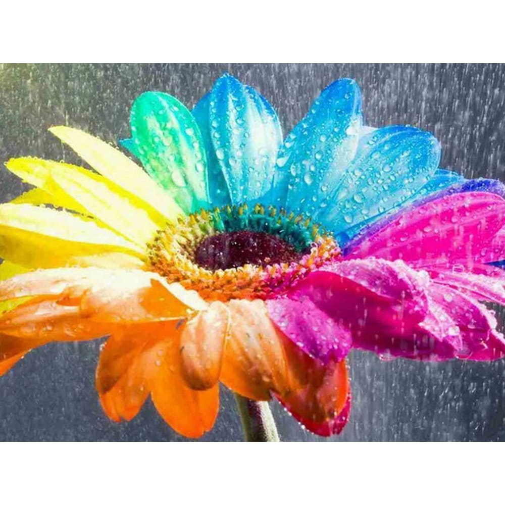DIY Diamond Painting - Regenboogbloemen PIX-763 - Diamond 