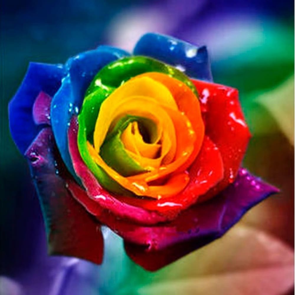 DIY Diamond Painting - Regenboogbloemen PIX-770 - Diamond 