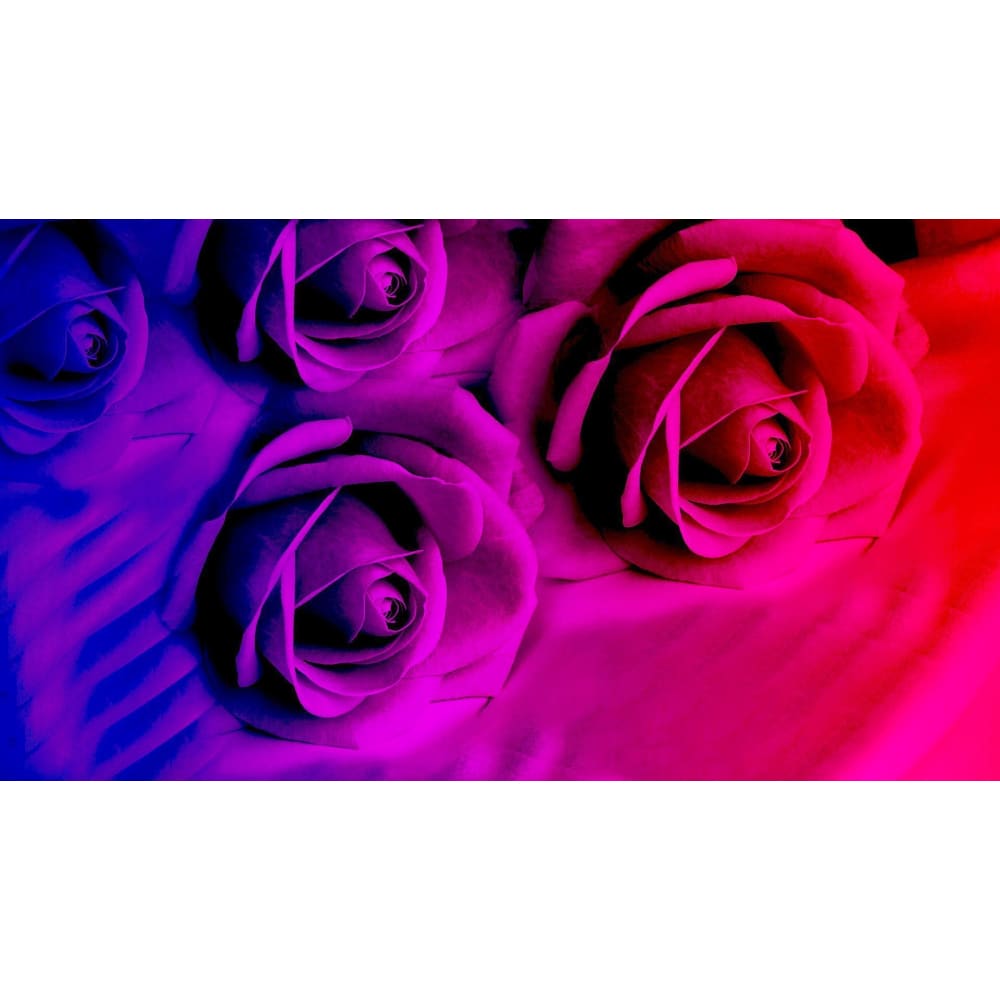 DIY Diamond Painting - Regenboogbloemen PIX-775 - Diamond 