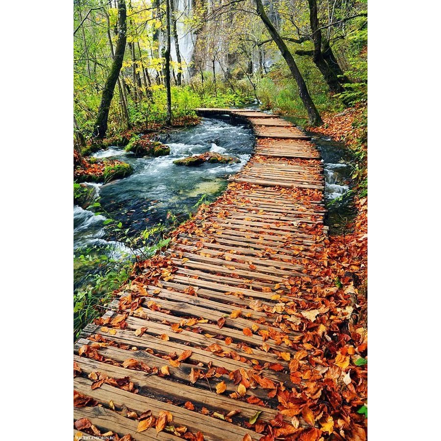DIY Diamond Painting - Thanksgiving Day & Halloween PIX-3377