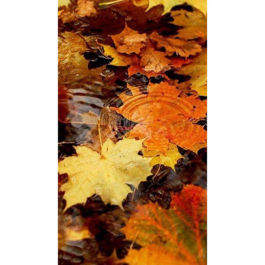 DIY Diamond Painting - Thanksgiving Day & Halloween PIX-3385