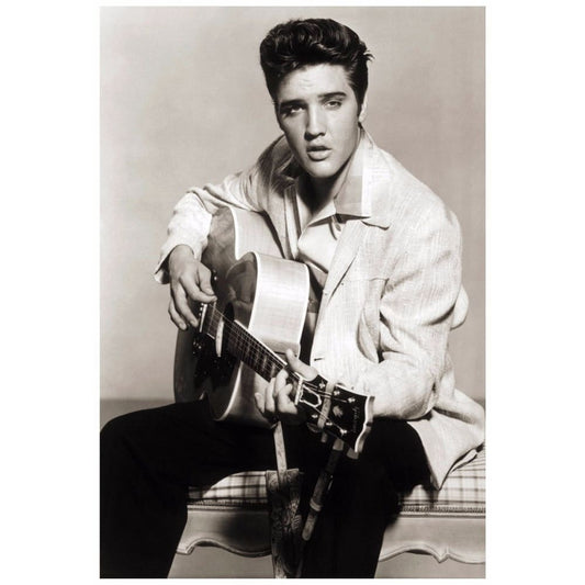 DIY Diamond Painting - Zanger Elvis Presley PIX-433 -