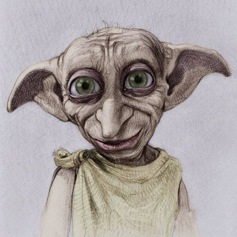 Dobby | Diamond Painting