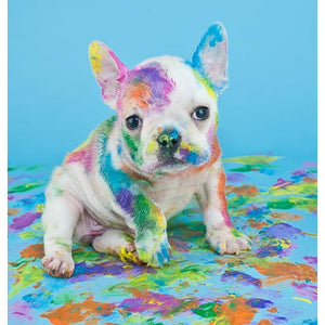 Franse Bulldog | Diamond Painting