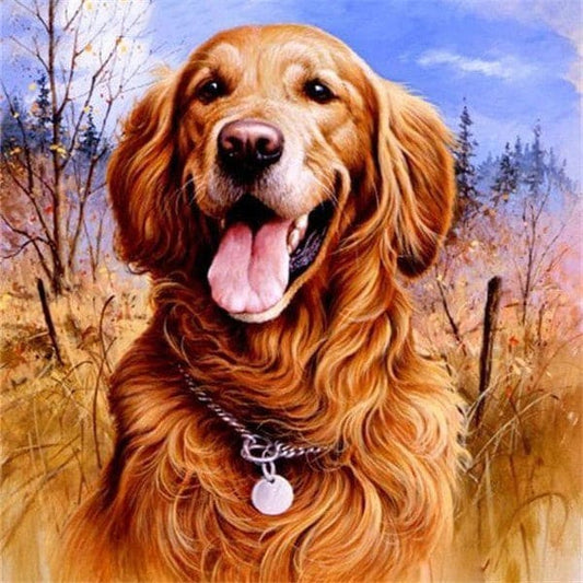 Golden Retriever