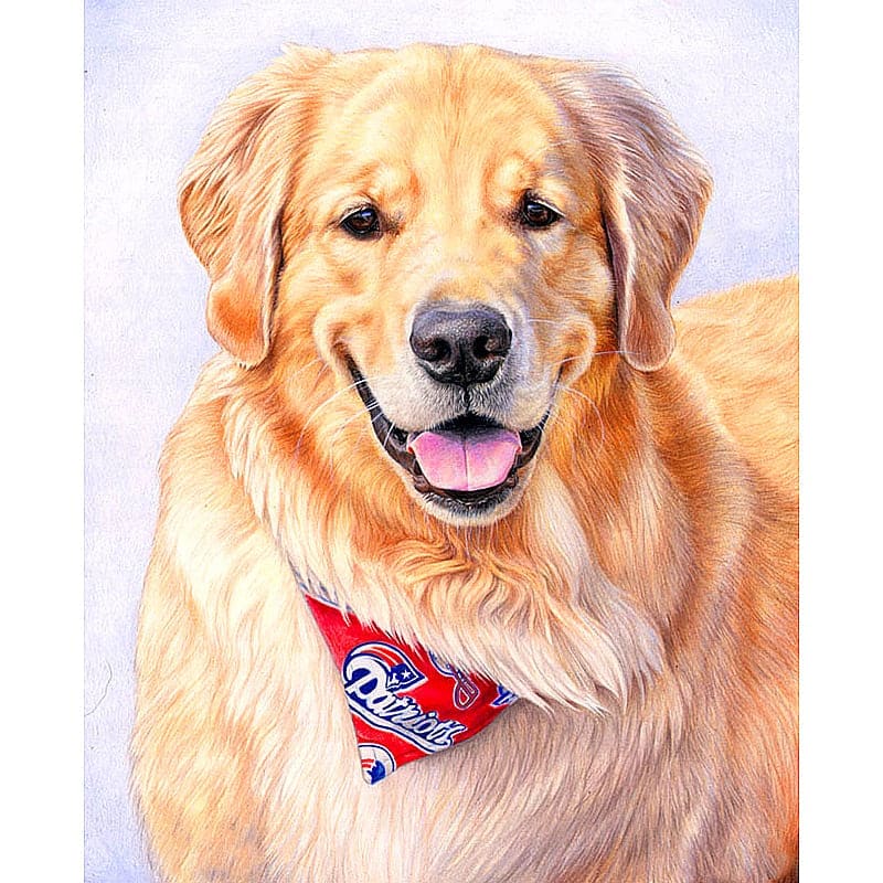Golden Retriever | Diamond Painting