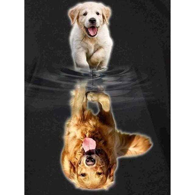 Golden Retriever | Diamond Painting