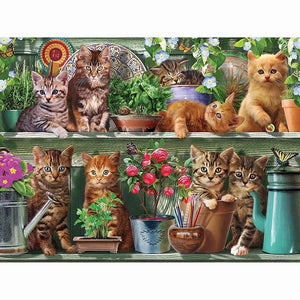 Katten In Tuinkast | Diamond Painting