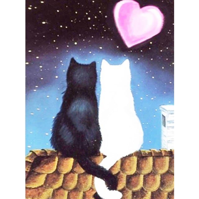 Katten Liefde