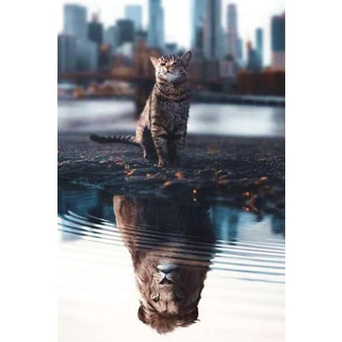 Kitten - Leeuw