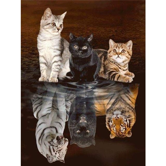 Kitten - Tijgers | Diamond Painting