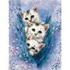 Kittens | Diamond Painting