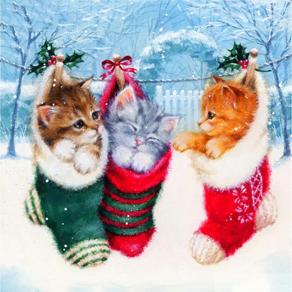 Kittens In Kerstsok