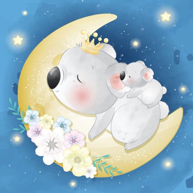 Koala - Maan