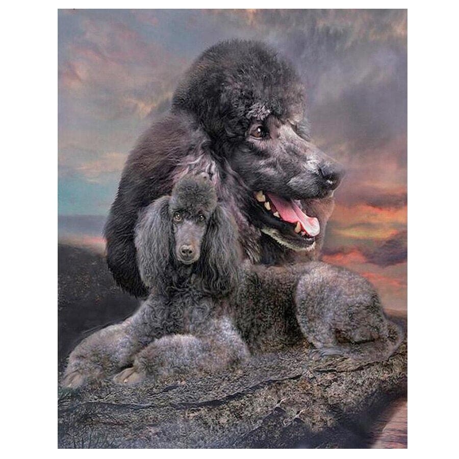 Koningspoedel | Diamond Painting