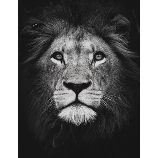 Leeuw | Diamond Painting