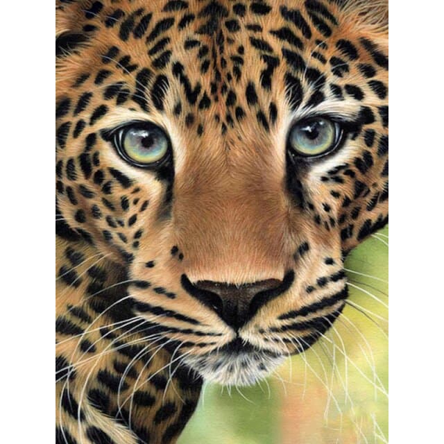 Luipaard | Diamond Painting