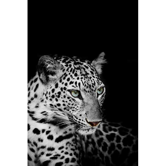 Luipaard | Diamond Painting