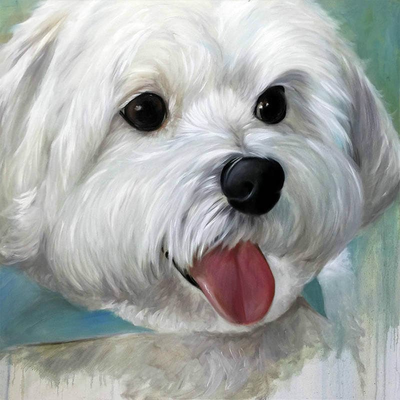 Maltezer | Diamond Painting