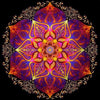 Mandala blauw/geel - 40x40cm (Min. formaat i.v.m. details) /