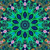 Mandala groen - 40x40cm (Bestseller) / Vierkant - Mandala’s