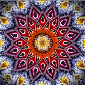 Mandala rood/paars - 40x40cm (Min. formaat i.v.m. details) /