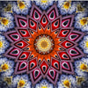 Mandala rood/paars - 40x40cm (Min. formaat i.v.m. details) /