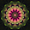 Mandala roze/groen - 40x40cm (Min. formaat i.v.m. details) /