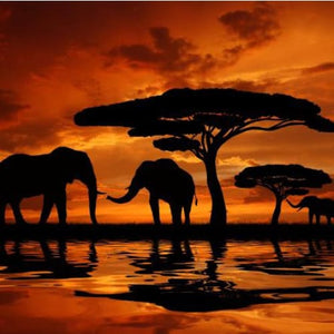 Olifant - Zonsondergang | Diamond Painting