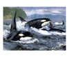 Orka | Diamond Painting