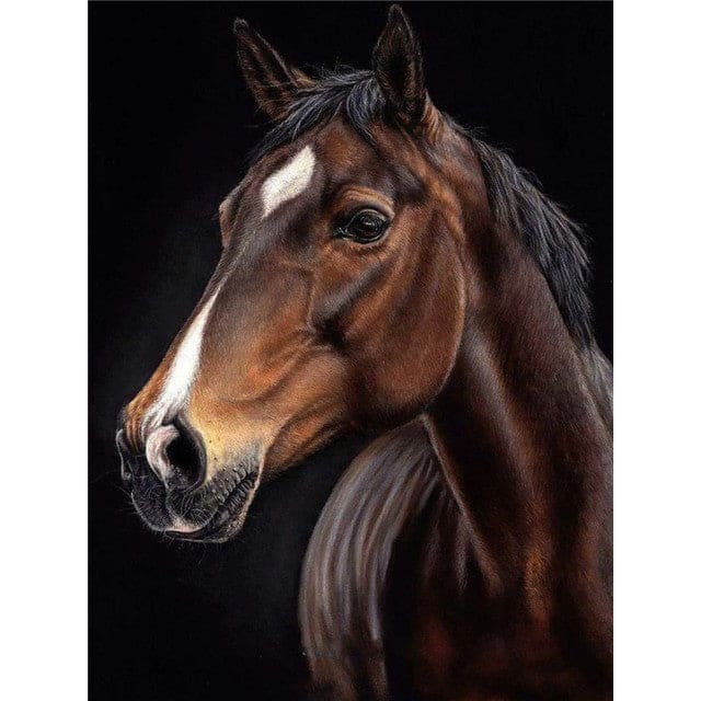 Paard