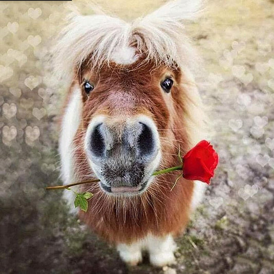 Paard - Roos | Diamond Painting