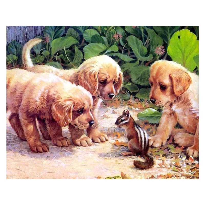 Puppies - Eekhoorn | Diamond Painting