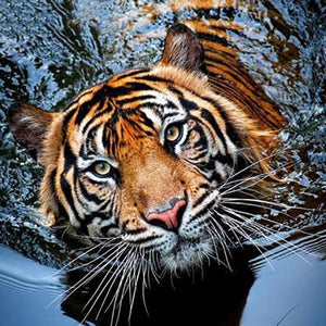 Tijger | Diamond Painting