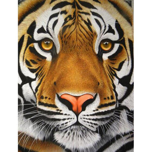 Tijger | Diamond Painting