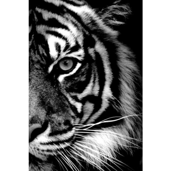 Tijger | Diamond Painting