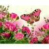 Vlinder - Rozen - 20x25cm / Vierkant - Bloemen & Planten