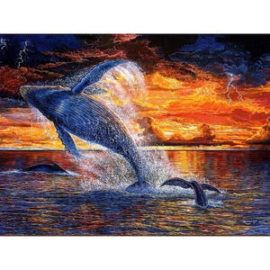 Walvis | Diamond Painting