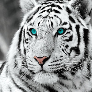 Witte Tijger | Diamond Painting