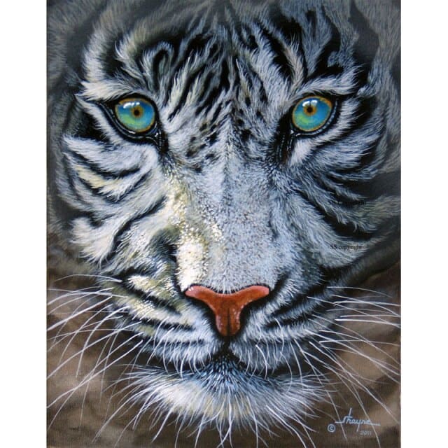 Witte Tijger