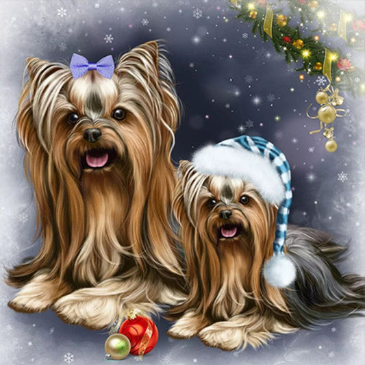 Yorkshire Terriër | Diamond Painting