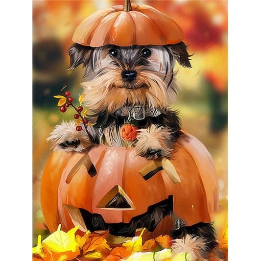 Yorkshire Terriër | Diamond Painting