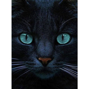 Zwarte Kat | Diamond Painting