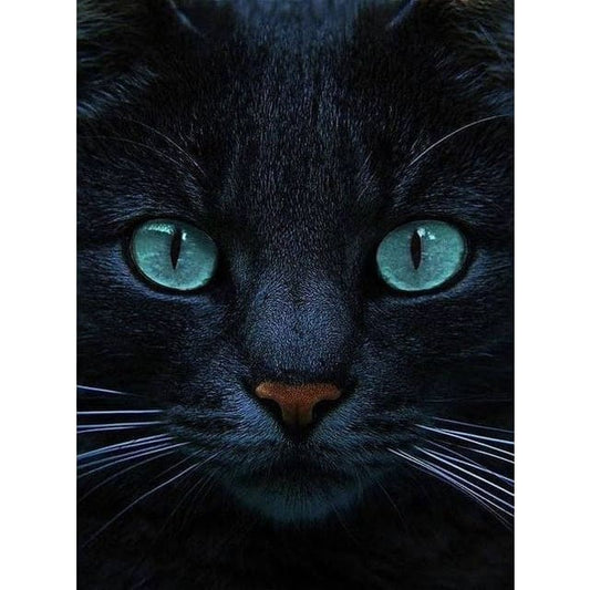 Zwarte Kat | Diamond Painting